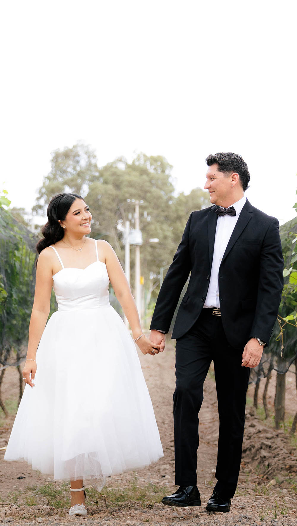 Novios